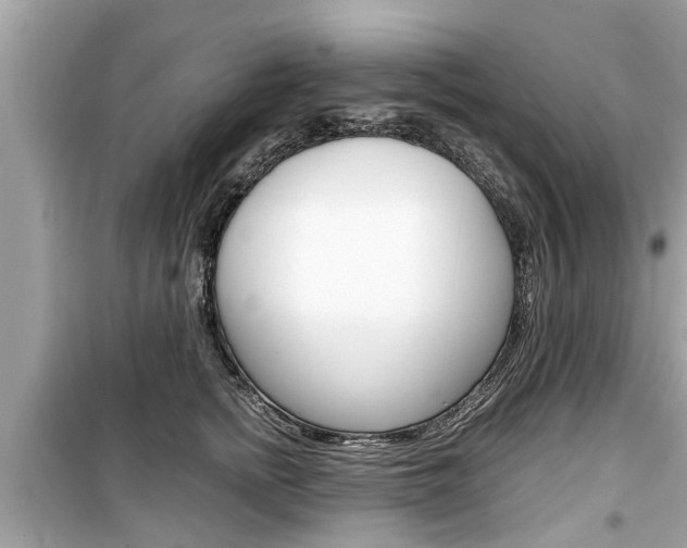 X0000099550758200805160726