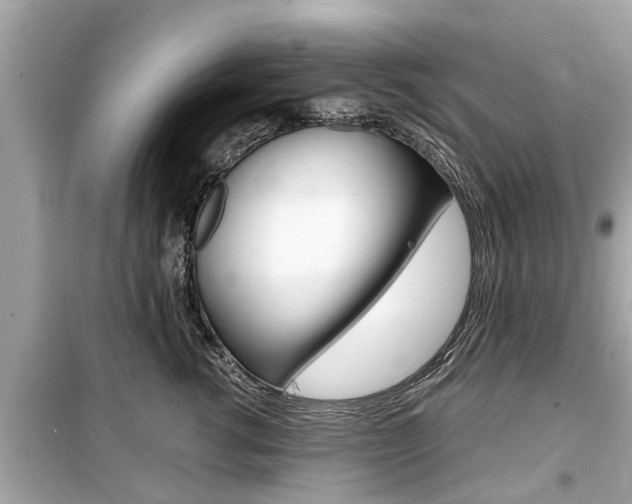 X0000099550762200805160726