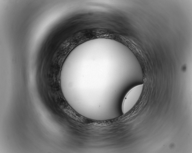 X0000099550763200805160726