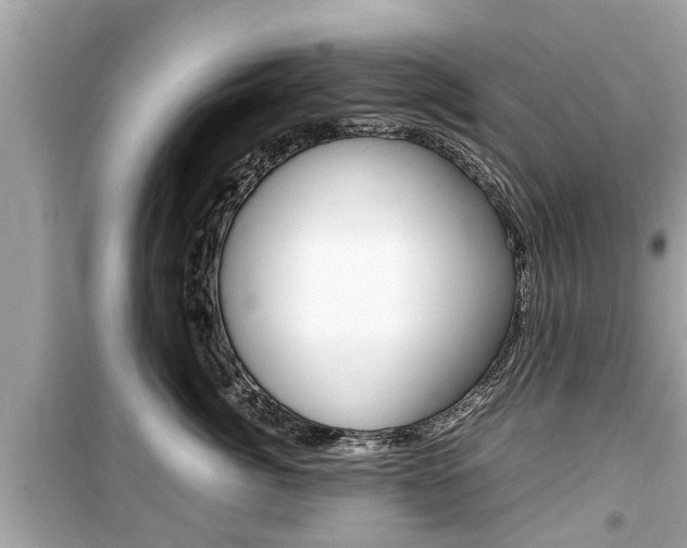 X0000099550764200805160726