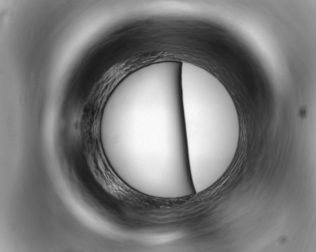 X0000099550765200805160726