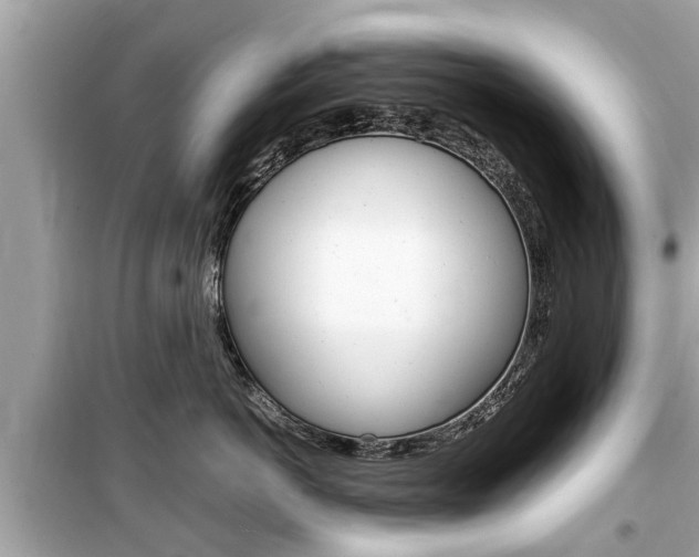 X0000099550766200805160726