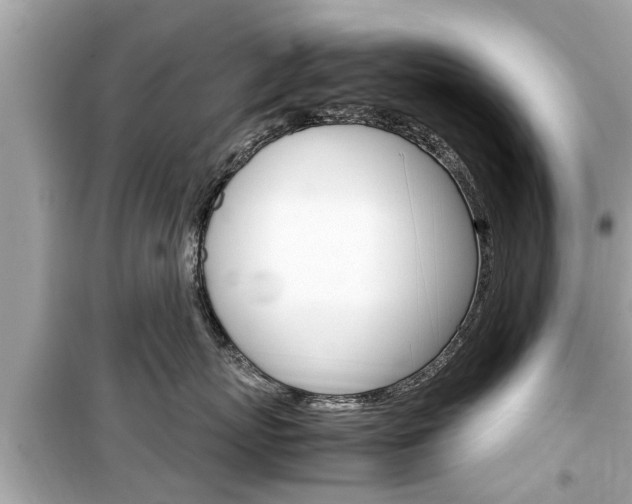 X0000099550767200805160726