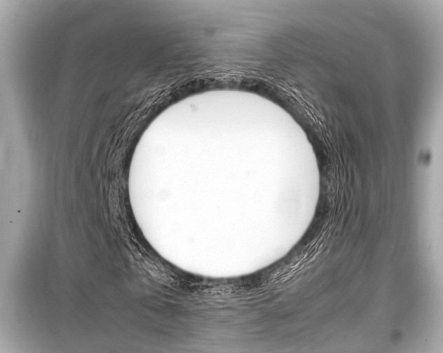 X0000099550769200805160725