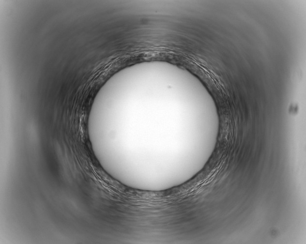 X0000099550770200805160725