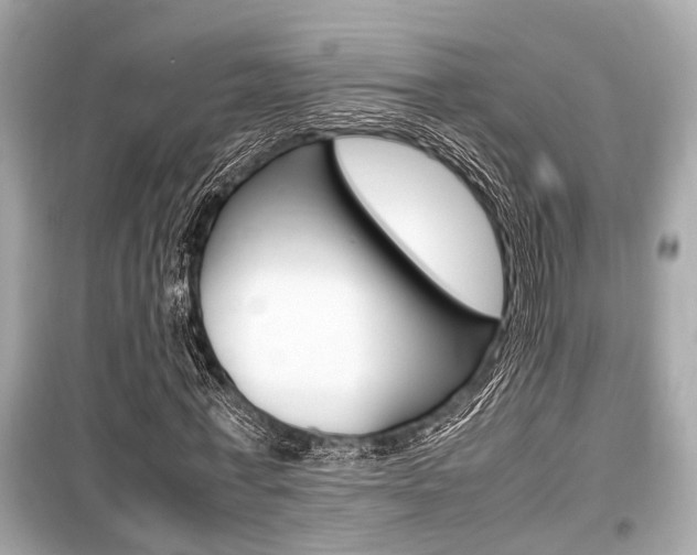 X0000099550771200805160725
