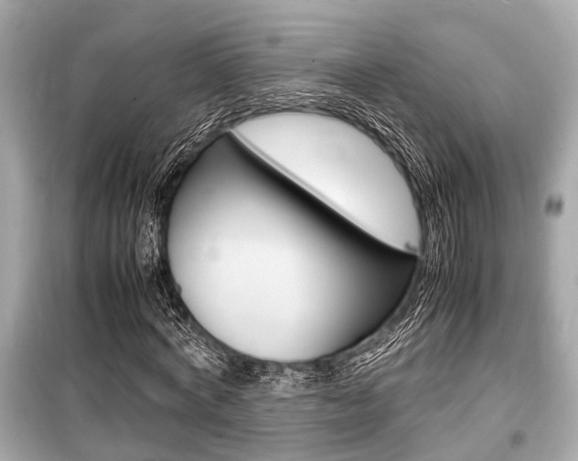 X0000099550772200805160725