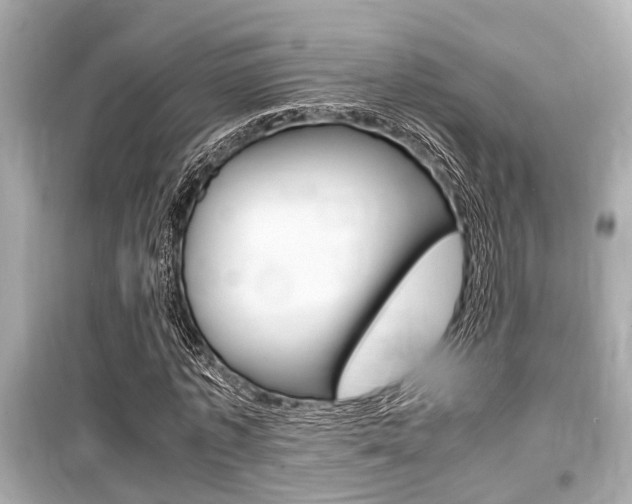 X0000099550773200805160725