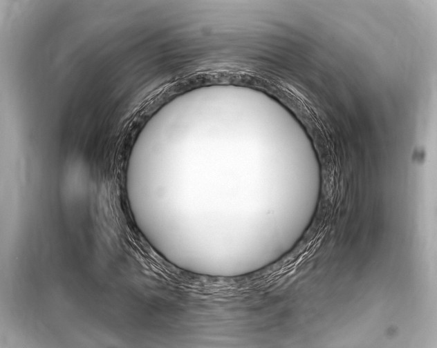 X0000099550774200805160725