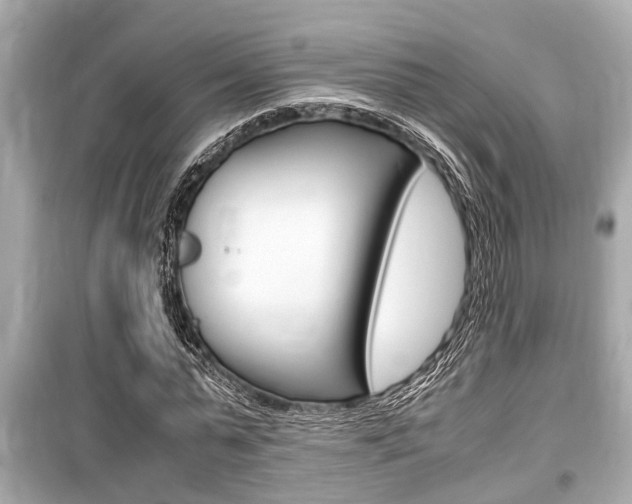 X0000099550775200805160725