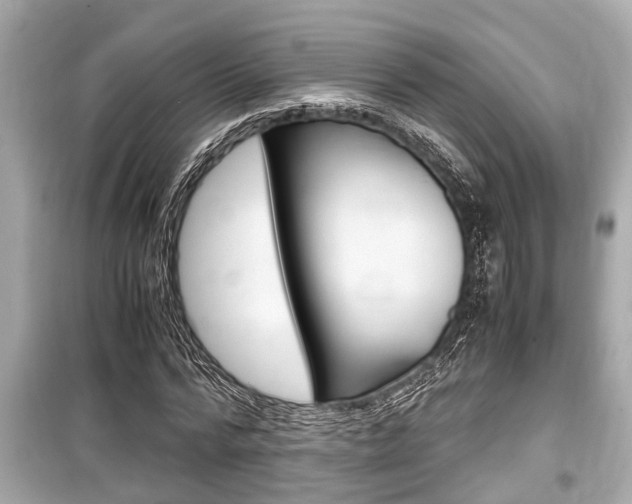 X0000099550776200805160725