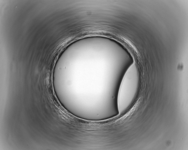 X0000099550777200805160725