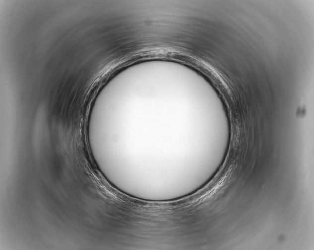 X0000099550778200805160725