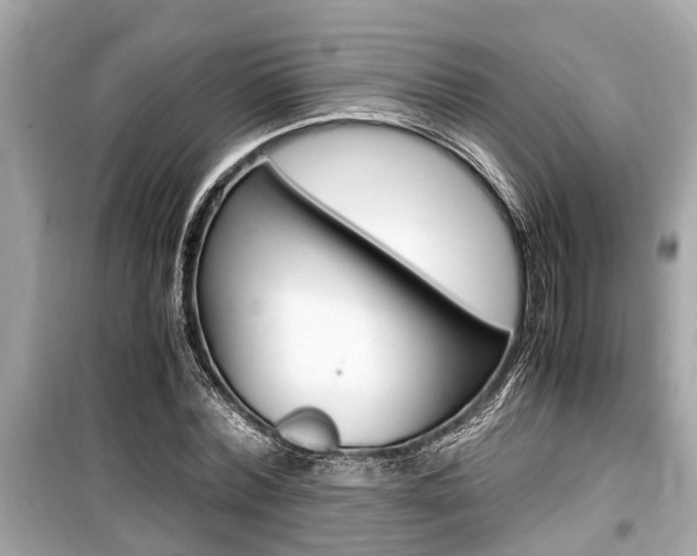 X0000099550780200805160725
