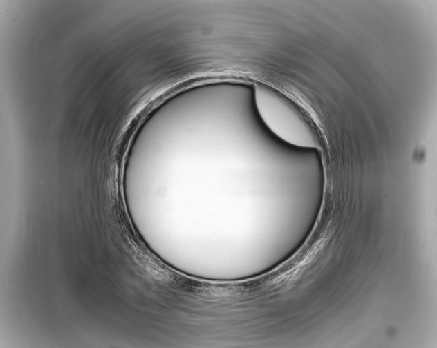 X0000099550781200805160725
