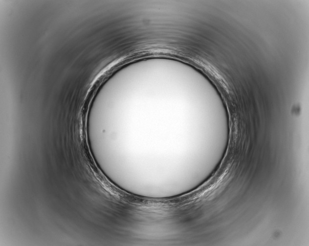 X0000099550782200805160725