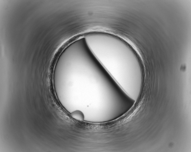 X0000099550783200805160725