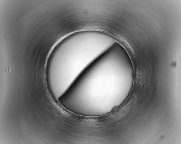 X0000099550784200805160725