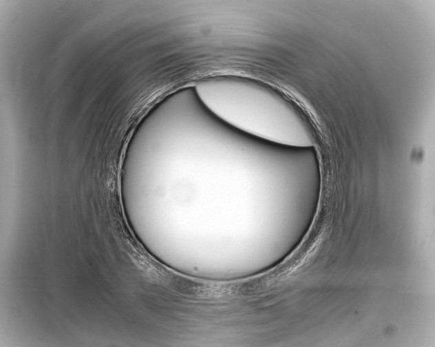 X0000099550785200805160725