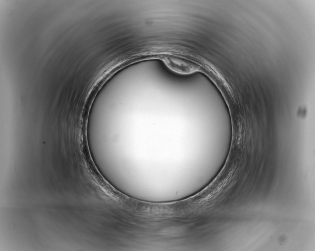 X0000099550786200805160725