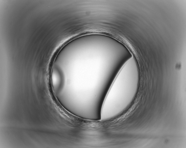 X0000099550787200805160725