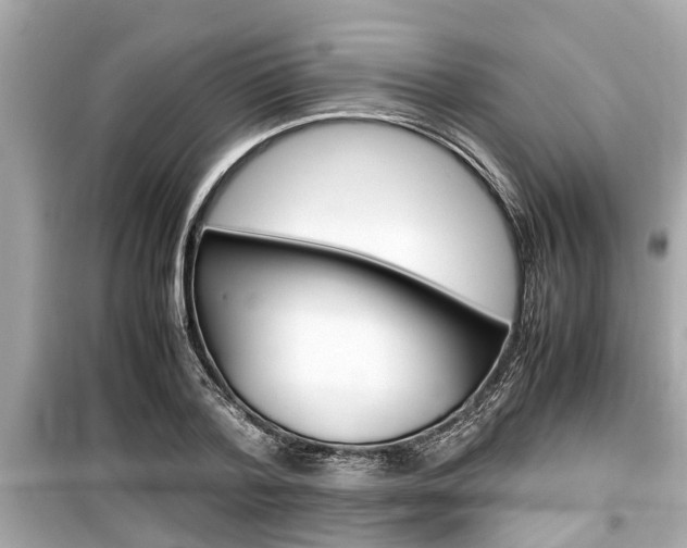 X0000099550788200805160725