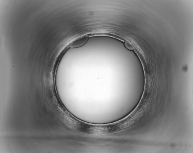 X0000099550789200805160725