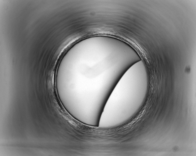 X0000099550790200805160725