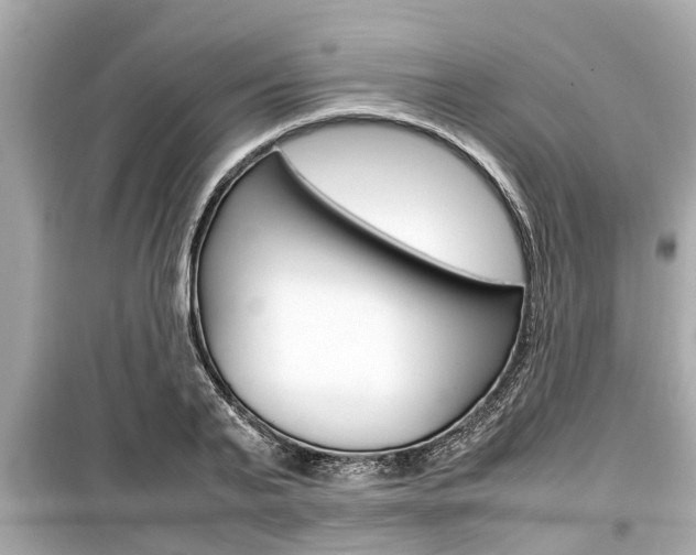 X0000099550791200805160725