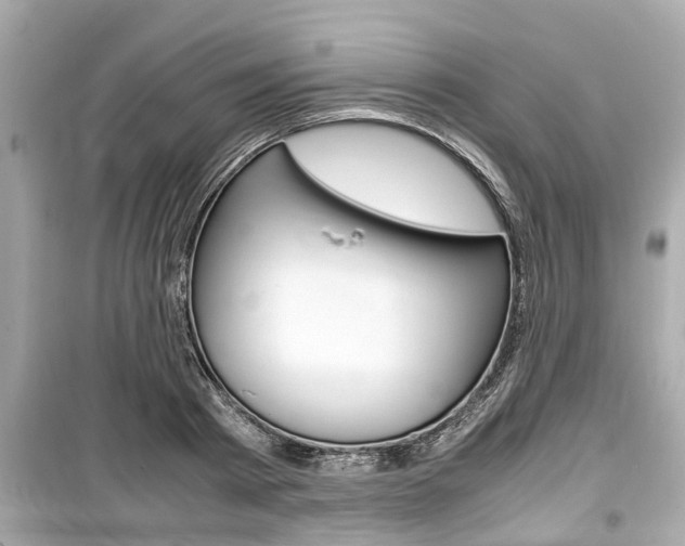 X0000099550793200805160725