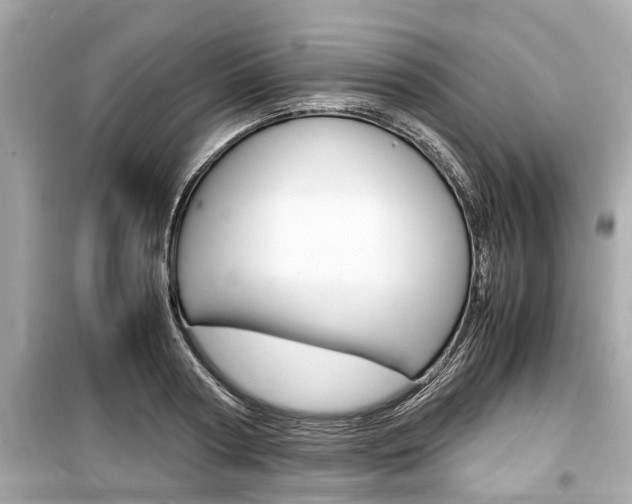 X0000099550794200805160725
