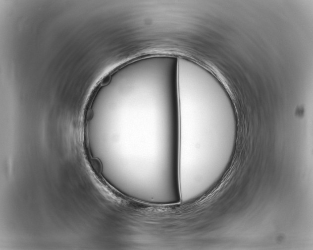 X0000099550795200805160725