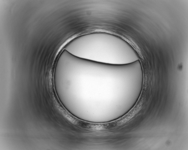 X0000099550798200805160725