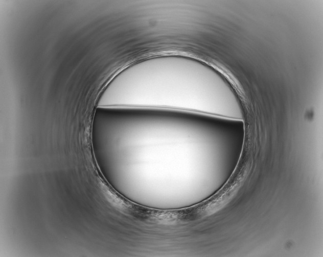 X0000099550801200805160725