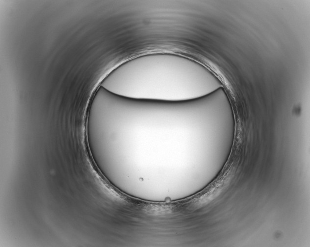 X0000099550802200805160725