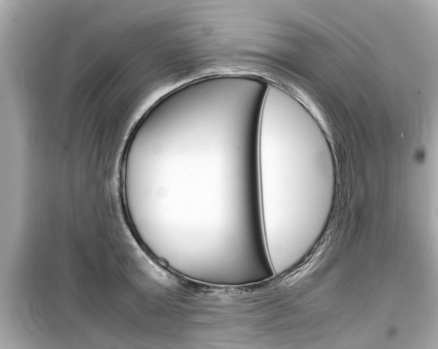 X0000099550803200805160725
