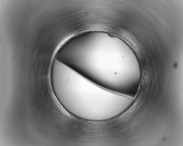 X0000099550804200805160725