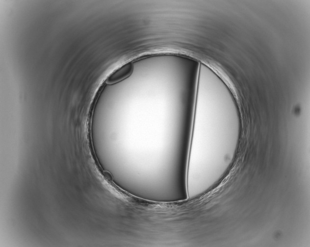 X0000099550805200805160725