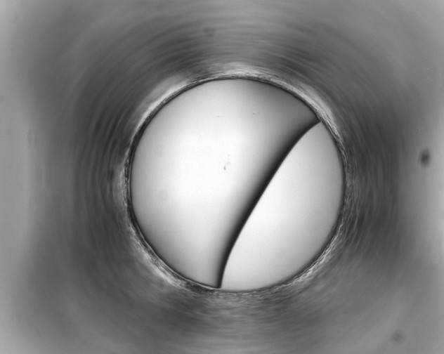 X0000099550806200805160725