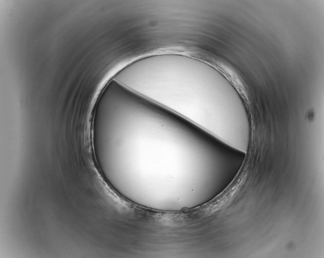 X0000099550808200805160725