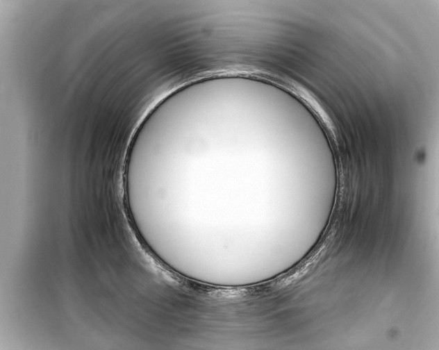 X0000099550810200805160725