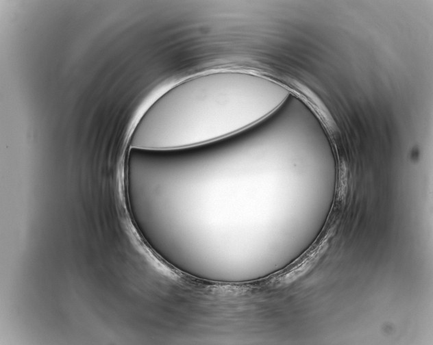 X0000099550812200805160725