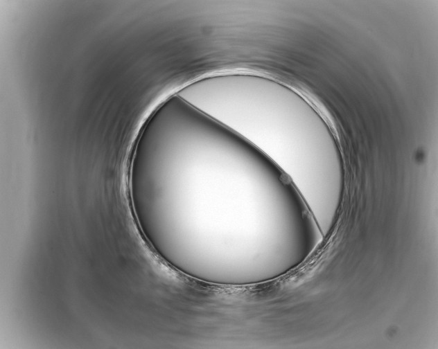 X0000099550813200805160725