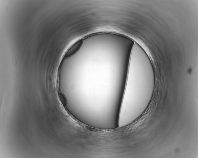 X0000099550815200805160725