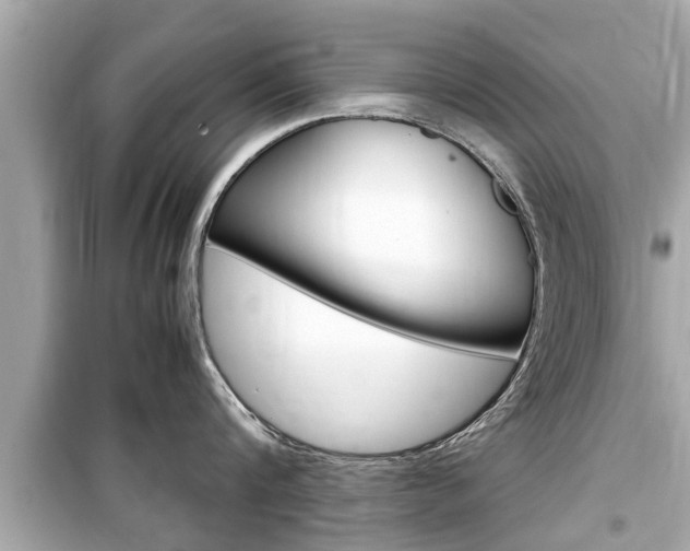 X0000099550816200805160725