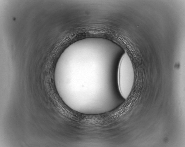 X0000099550817200805160724