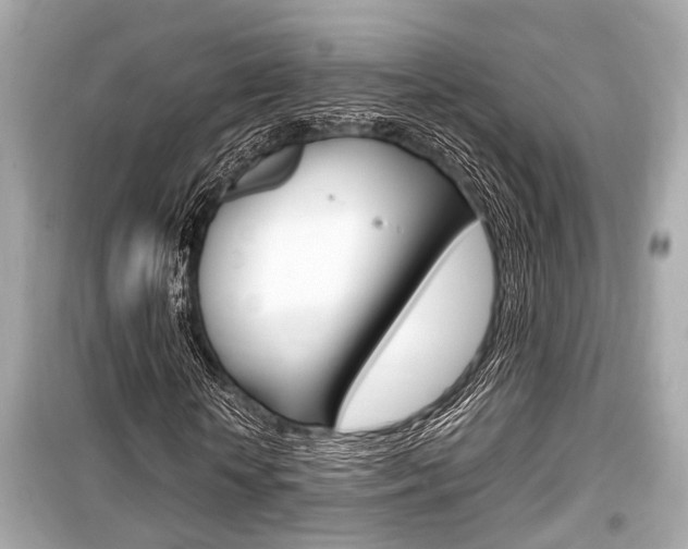 X0000099550818200805160724