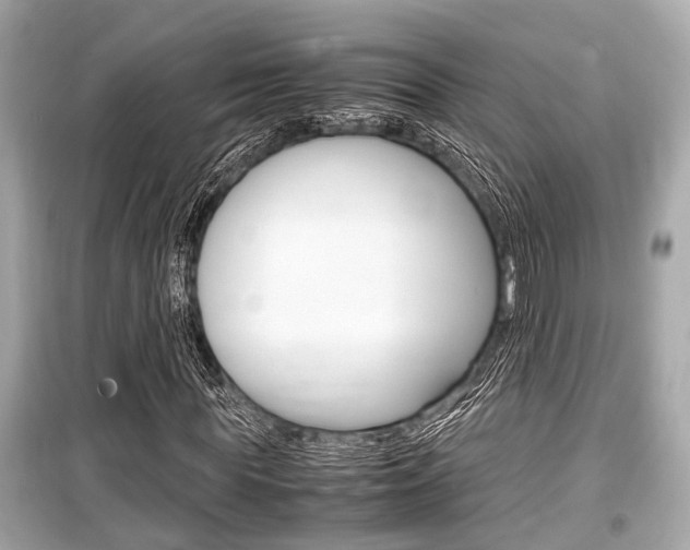 X0000099550819200805160724