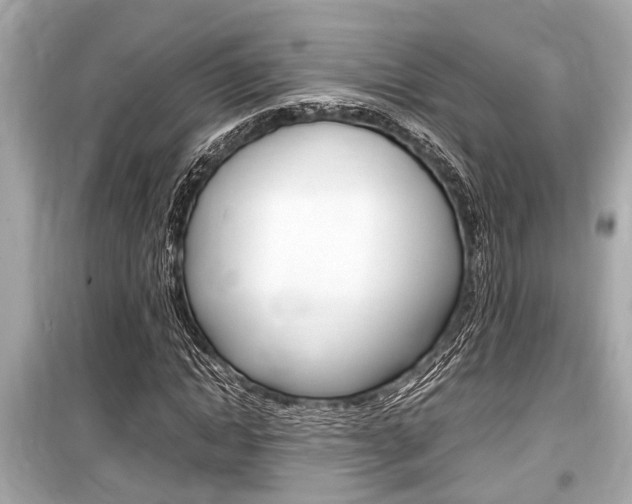 X0000099550822200805160724