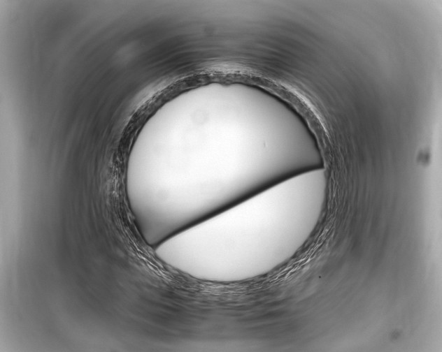 X0000099550823200805160724